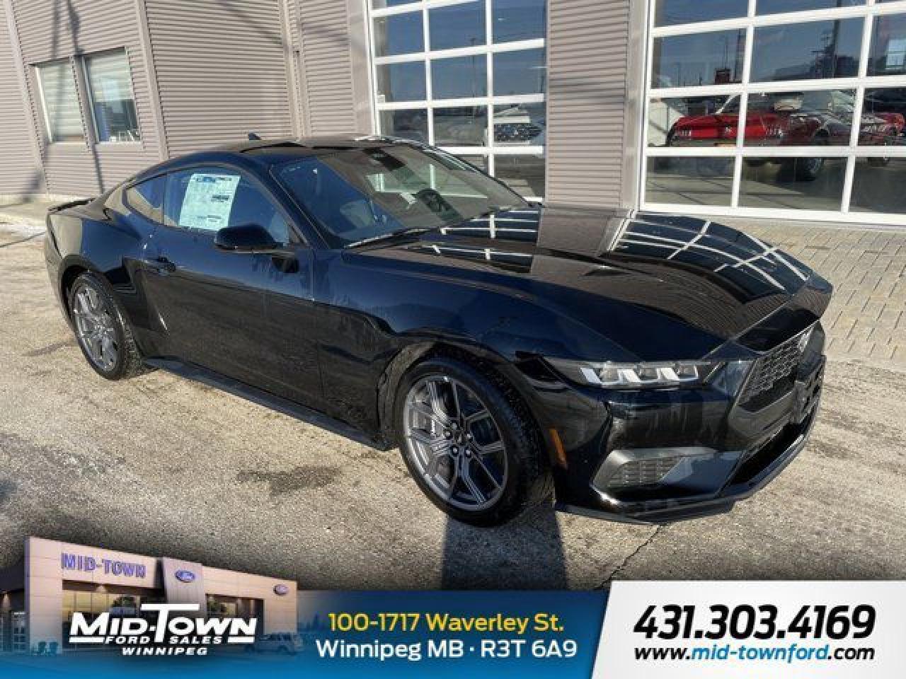 New 2024 Ford Mustang EcoBoost for sale in Winnipeg, MB