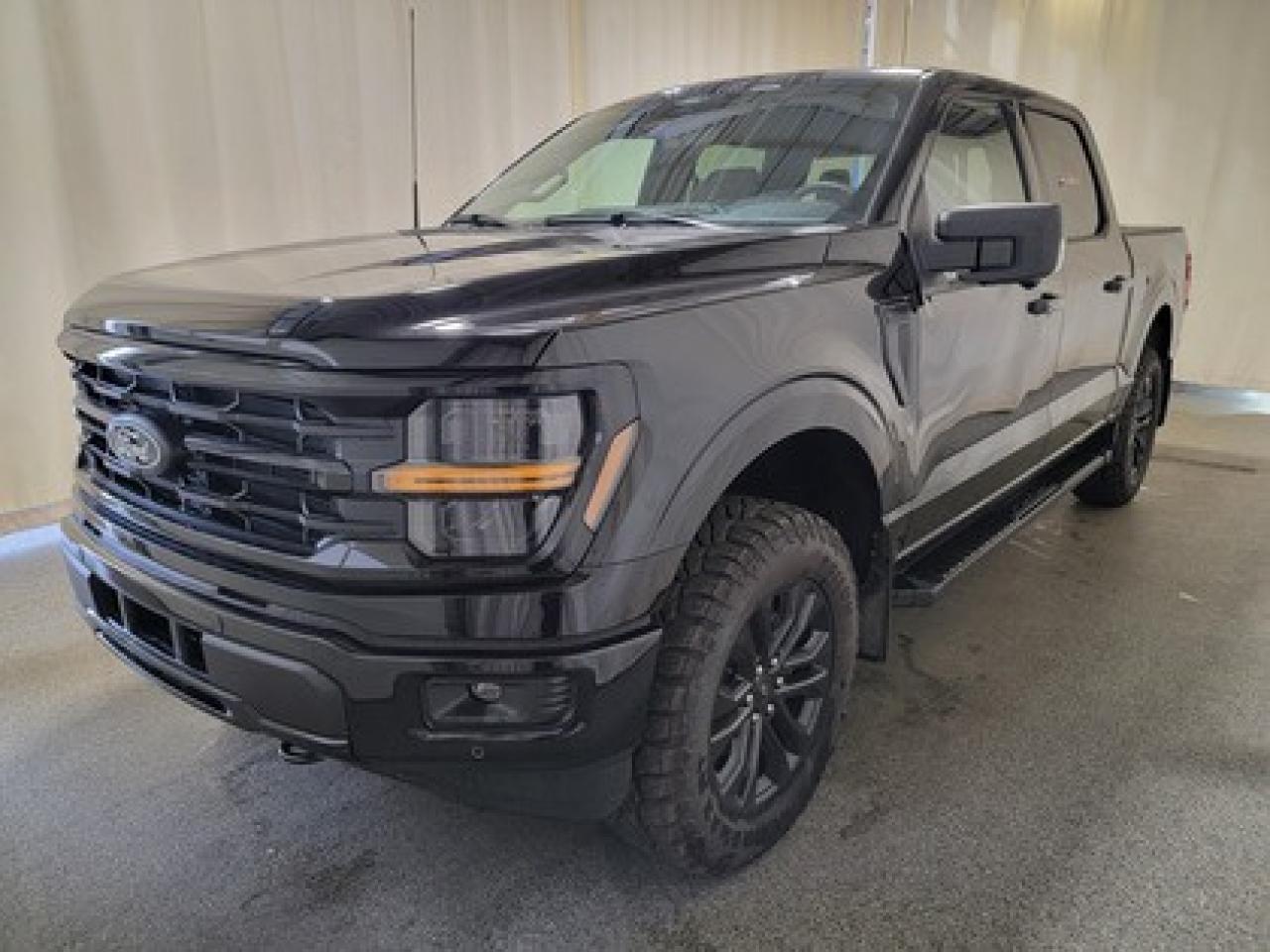 New 2025 Ford F-150 XLT W/ 360 DEGREE CAMERA for sale in Regina, SK