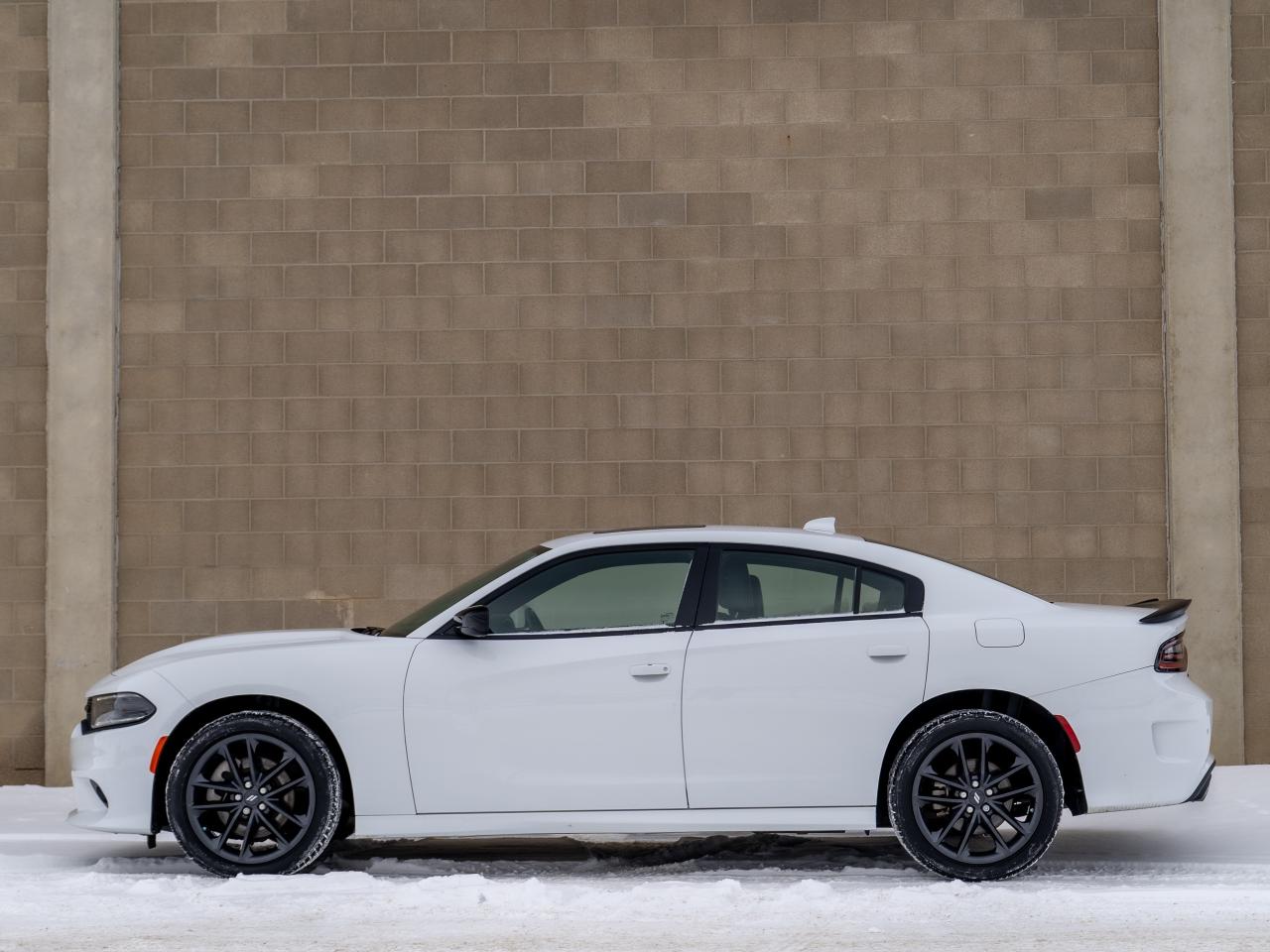 2023 Dodge Charger  - Photo #4