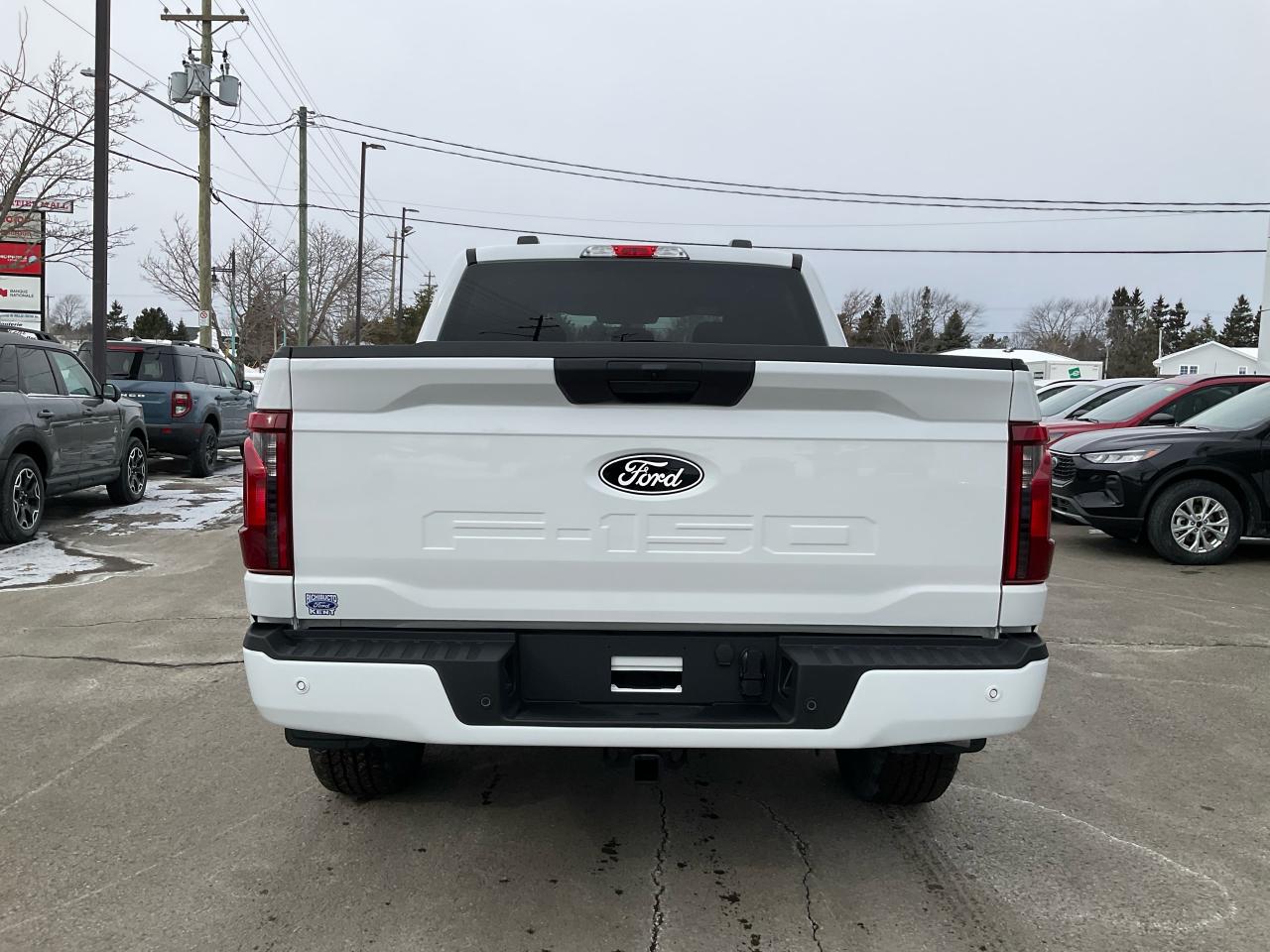 2025 Ford F-150 STX Photo5