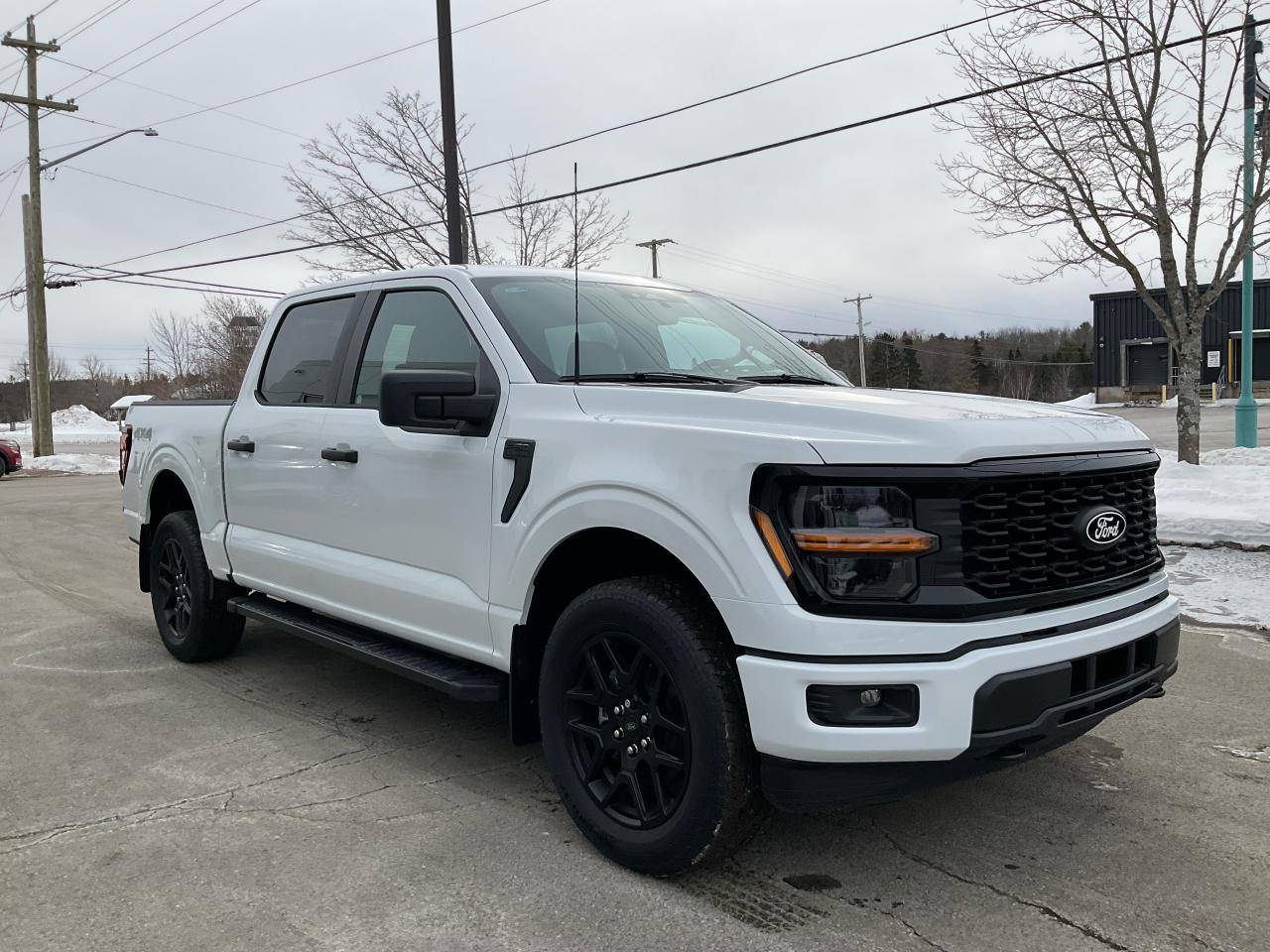 2025 Ford F-150 STX Photo