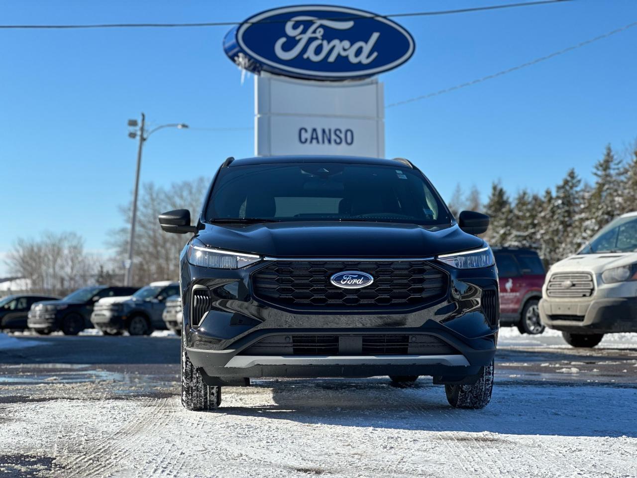 2025 Ford Escape ST-Line AWD Photo