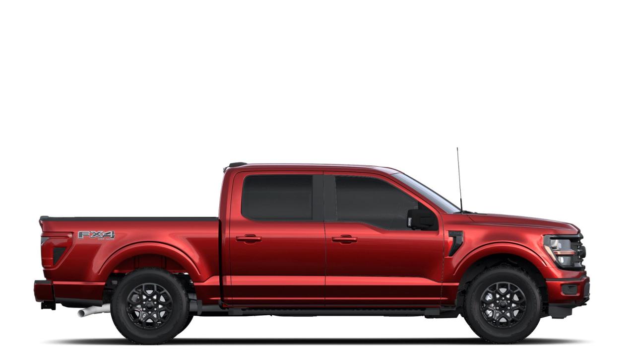 2024 Ford F-150 XLT Photo4