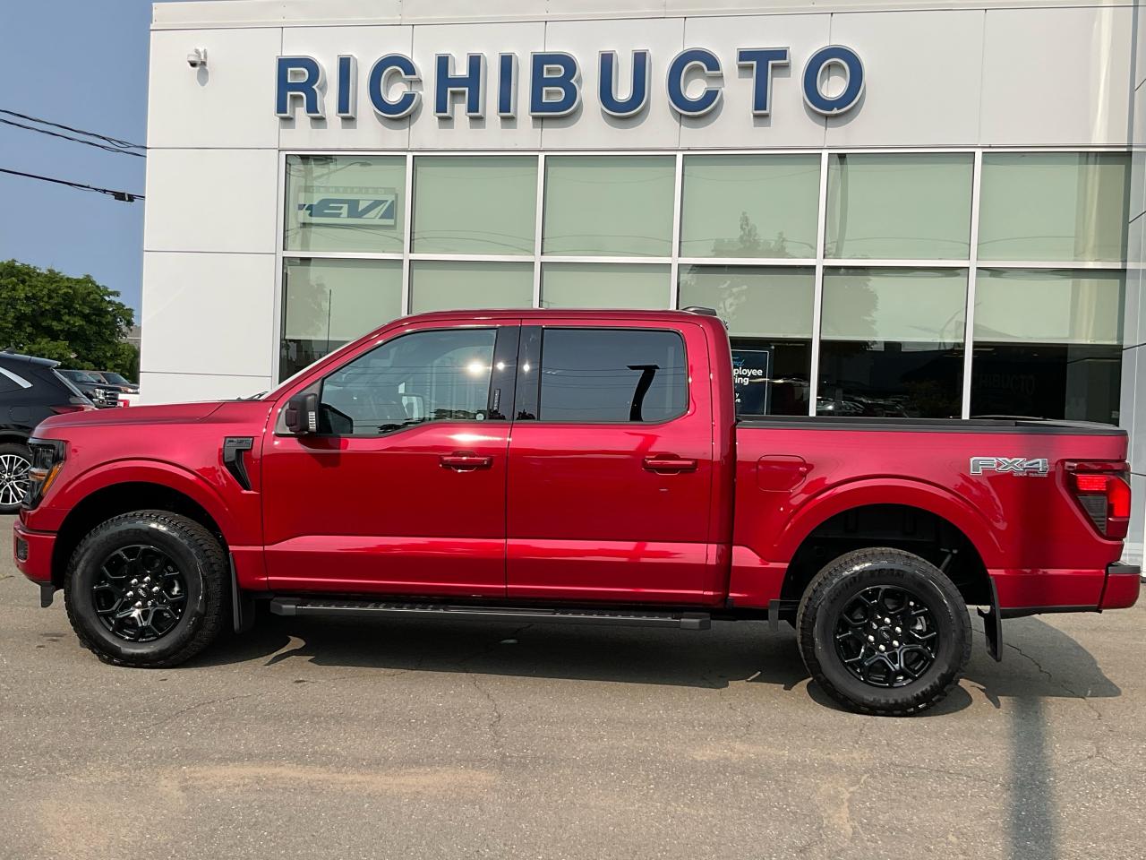 2024 Ford F-150 XLT Photo3