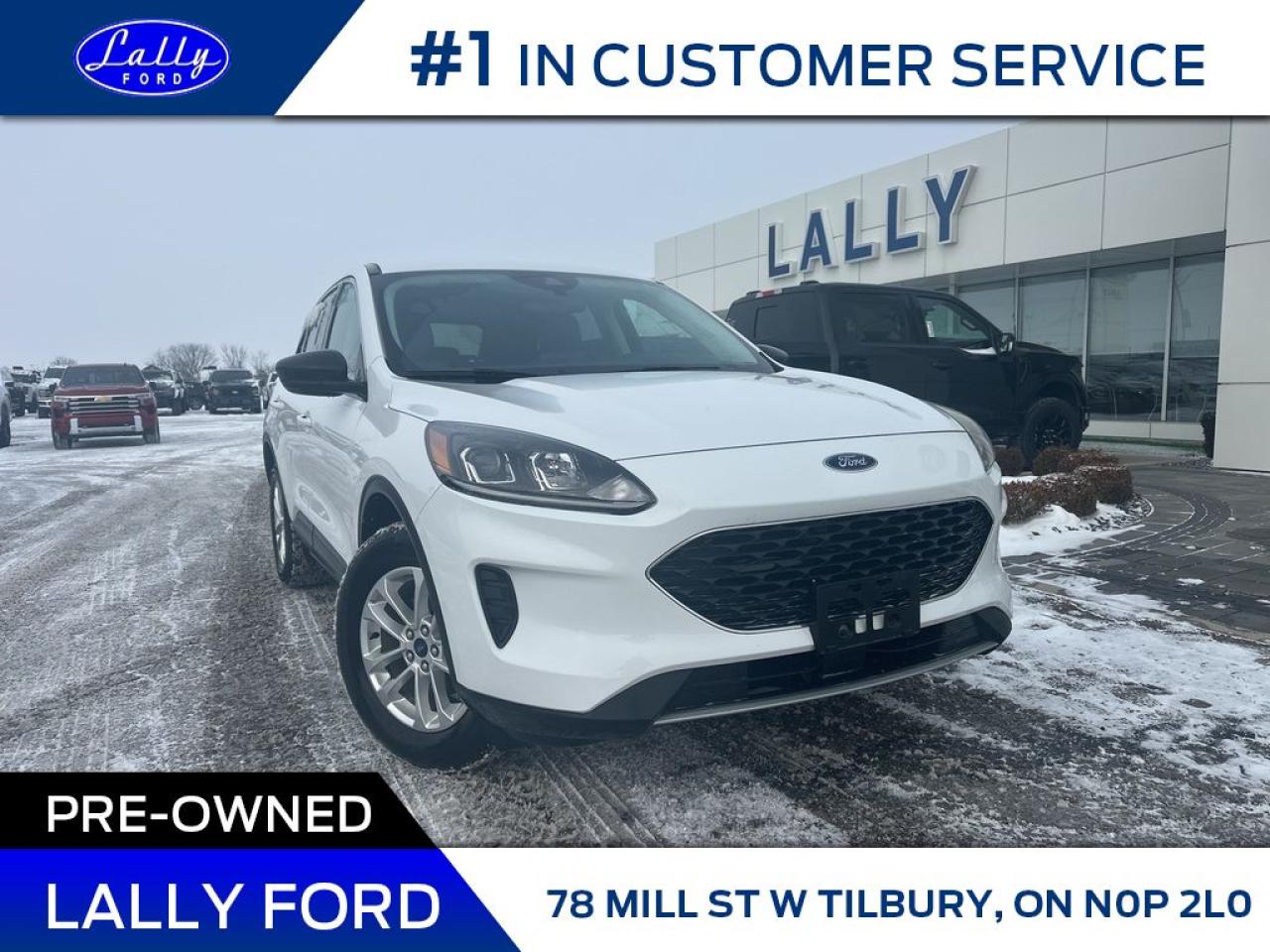 Used 2022 Ford Escape SE, AWD, Nav, One Owner, Low Km’s! for sale in Tilbury, ON