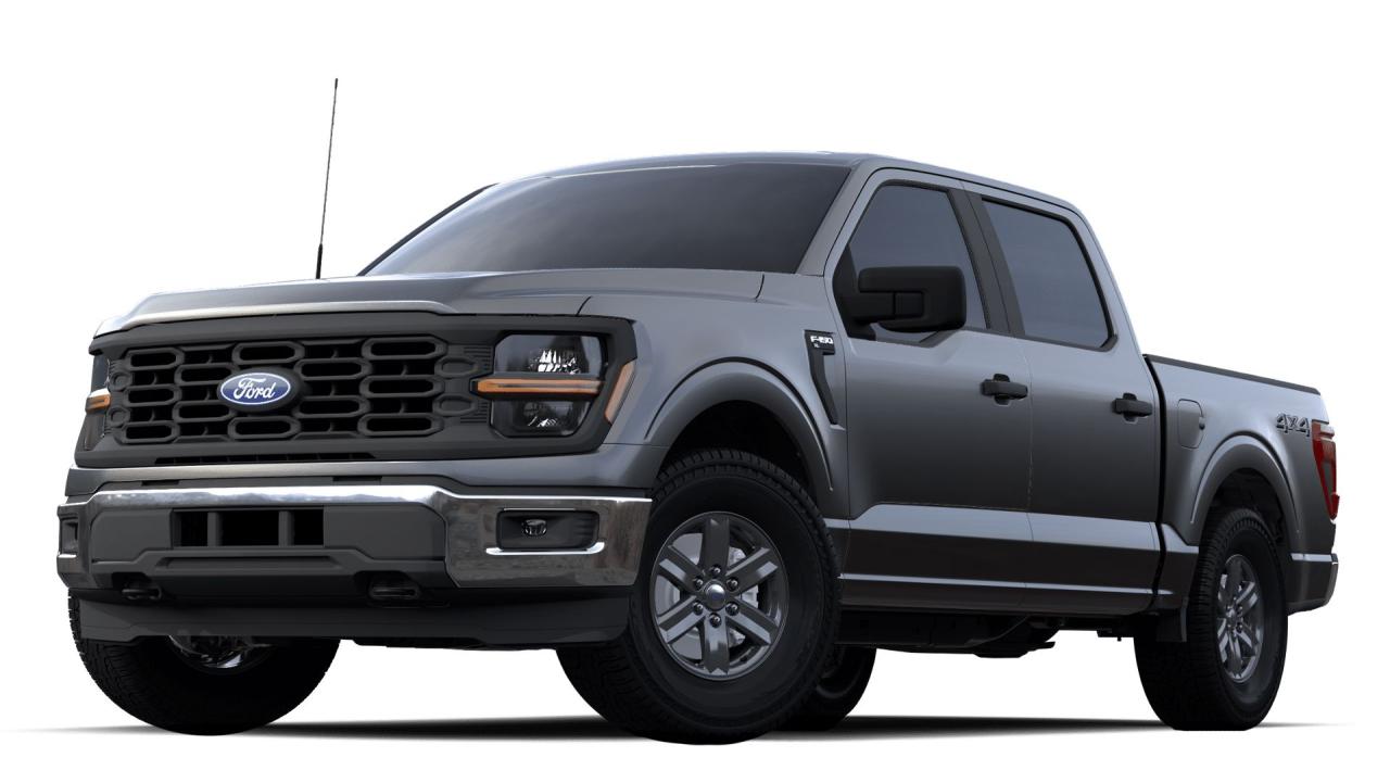 New 2024 Ford F-150  for sale in Woodstock, NB