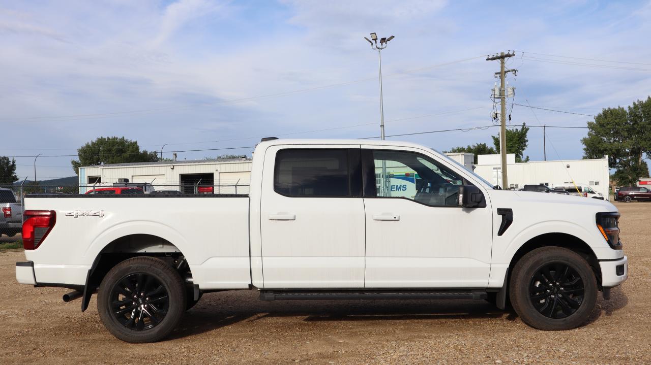 2025 Ford F-150 XLT Photo