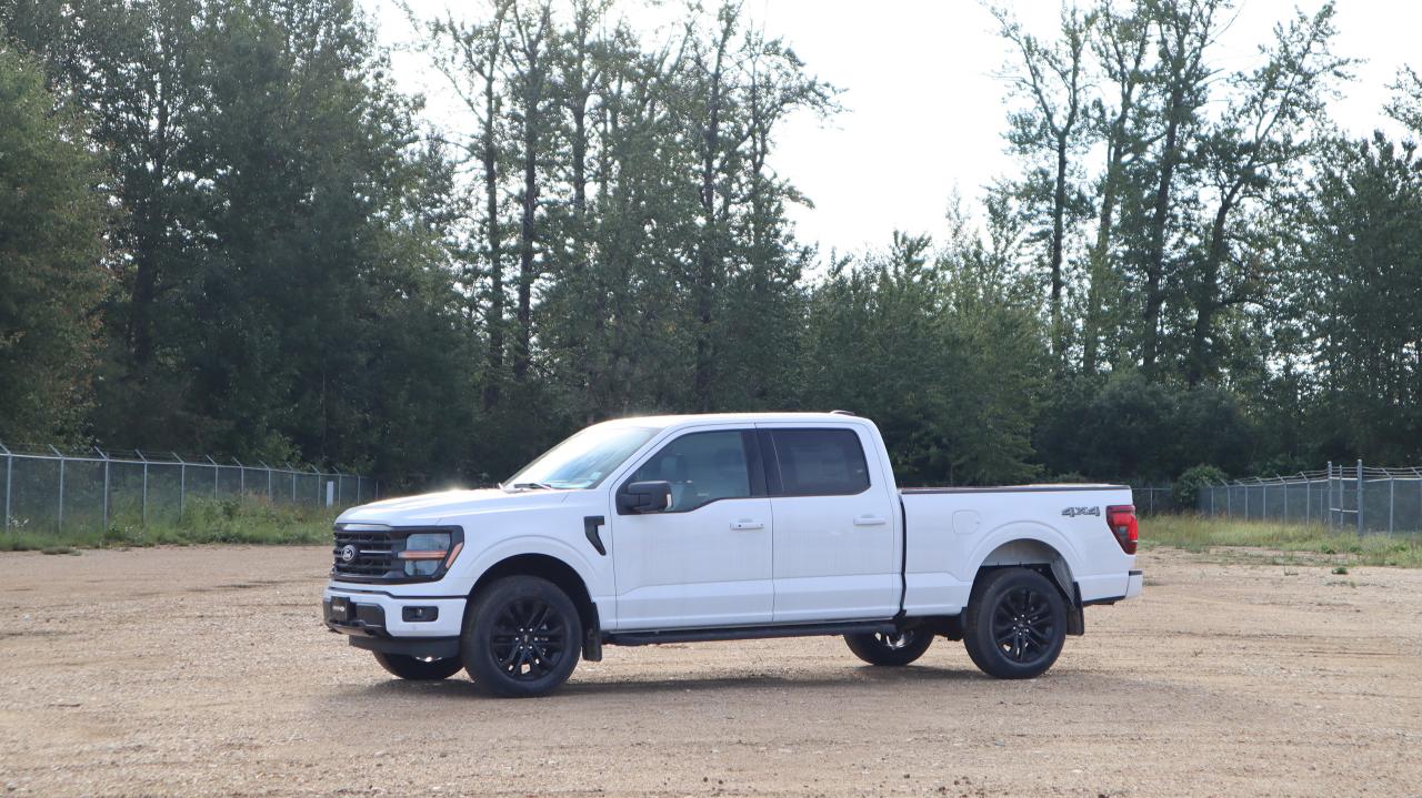 2025 Ford F-150 XLT Photo5