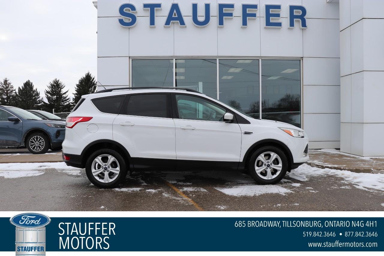 Used 2014 Ford Escape ESCAPE SE SUV for sale in Tillsonburg, ON