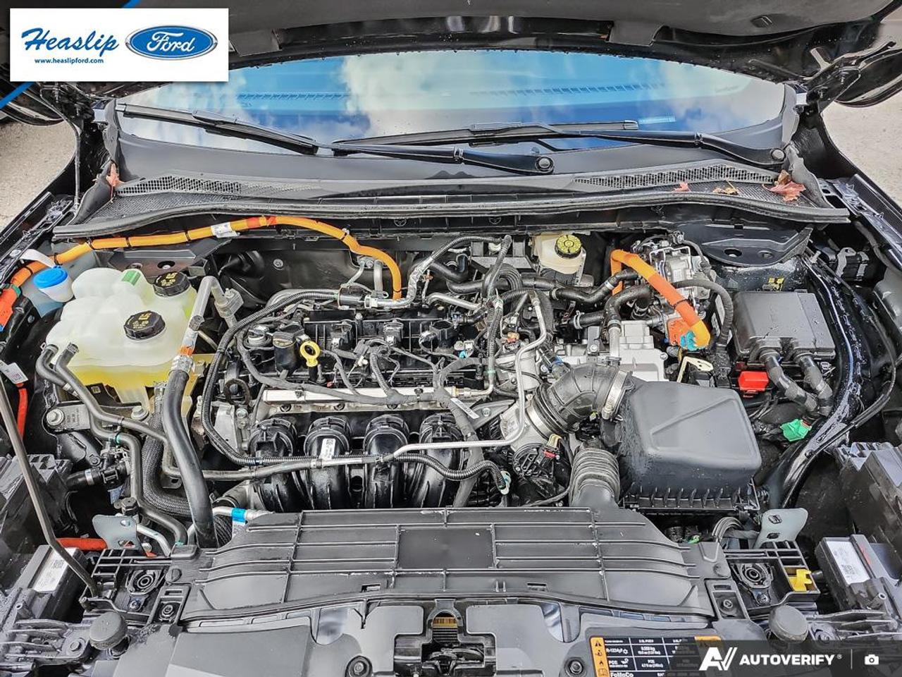 2025 Ford Escape ST-Line Photo