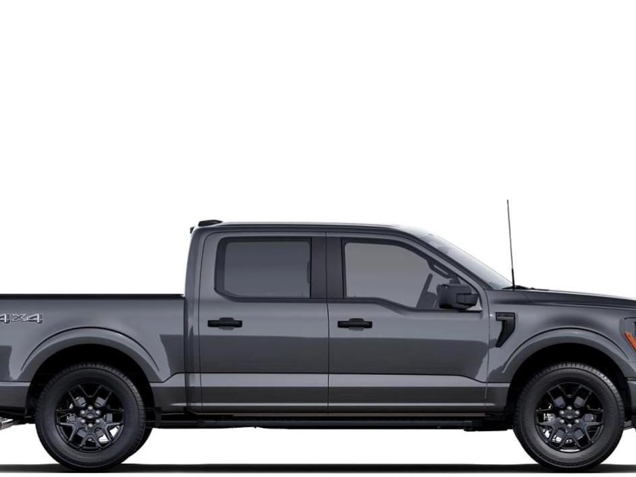 2025 Ford F-150 STX Photo4