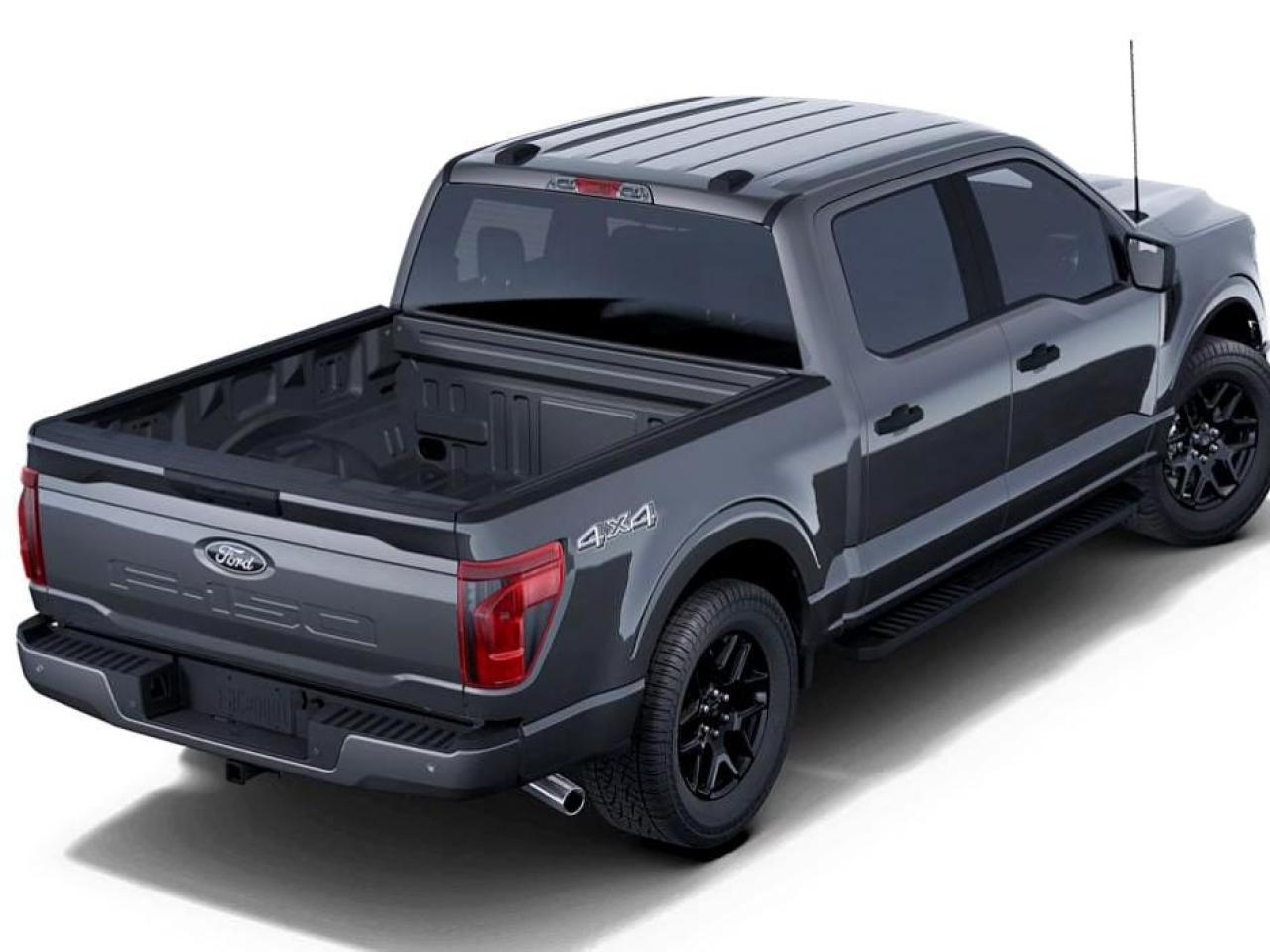 2025 Ford F-150 STX Photo