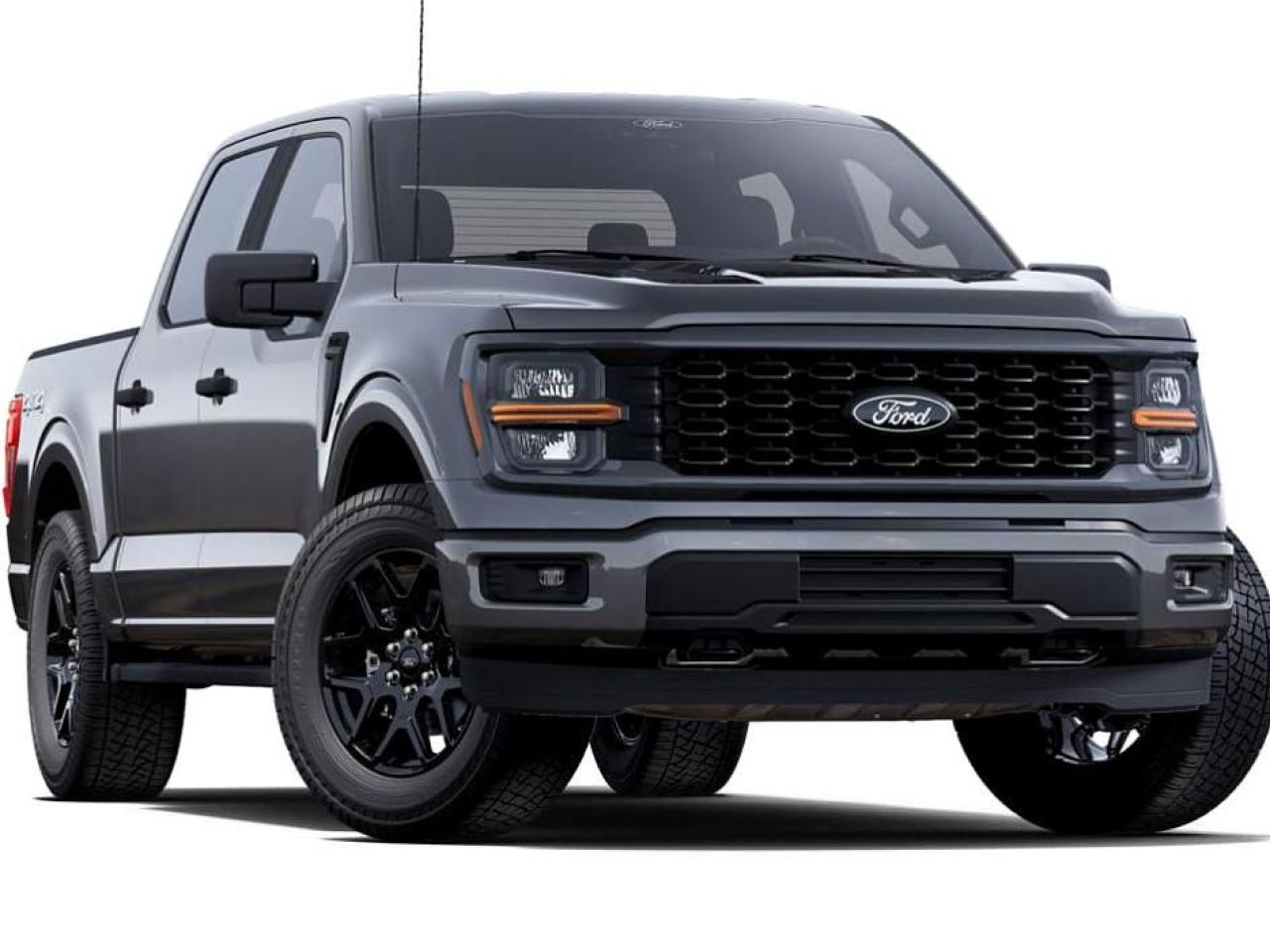 2025 Ford F-150 STX Photo