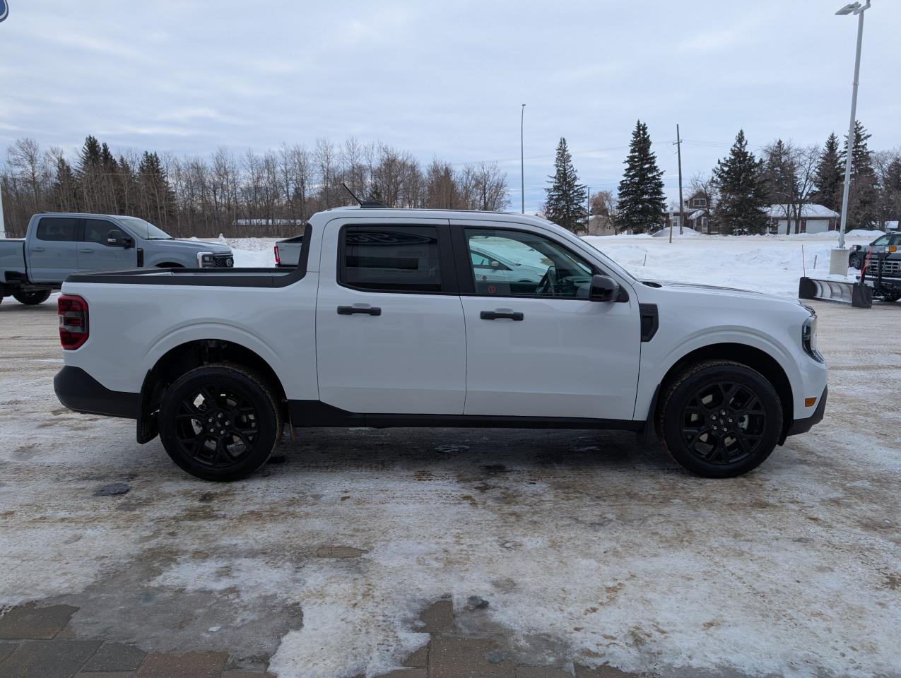 2025 Ford Maverick XLT Photo4