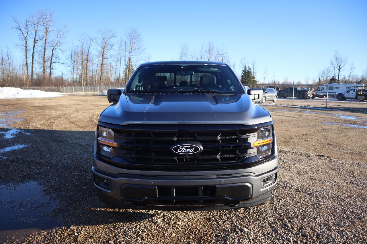 2024 Ford F-150 XLT Photo1