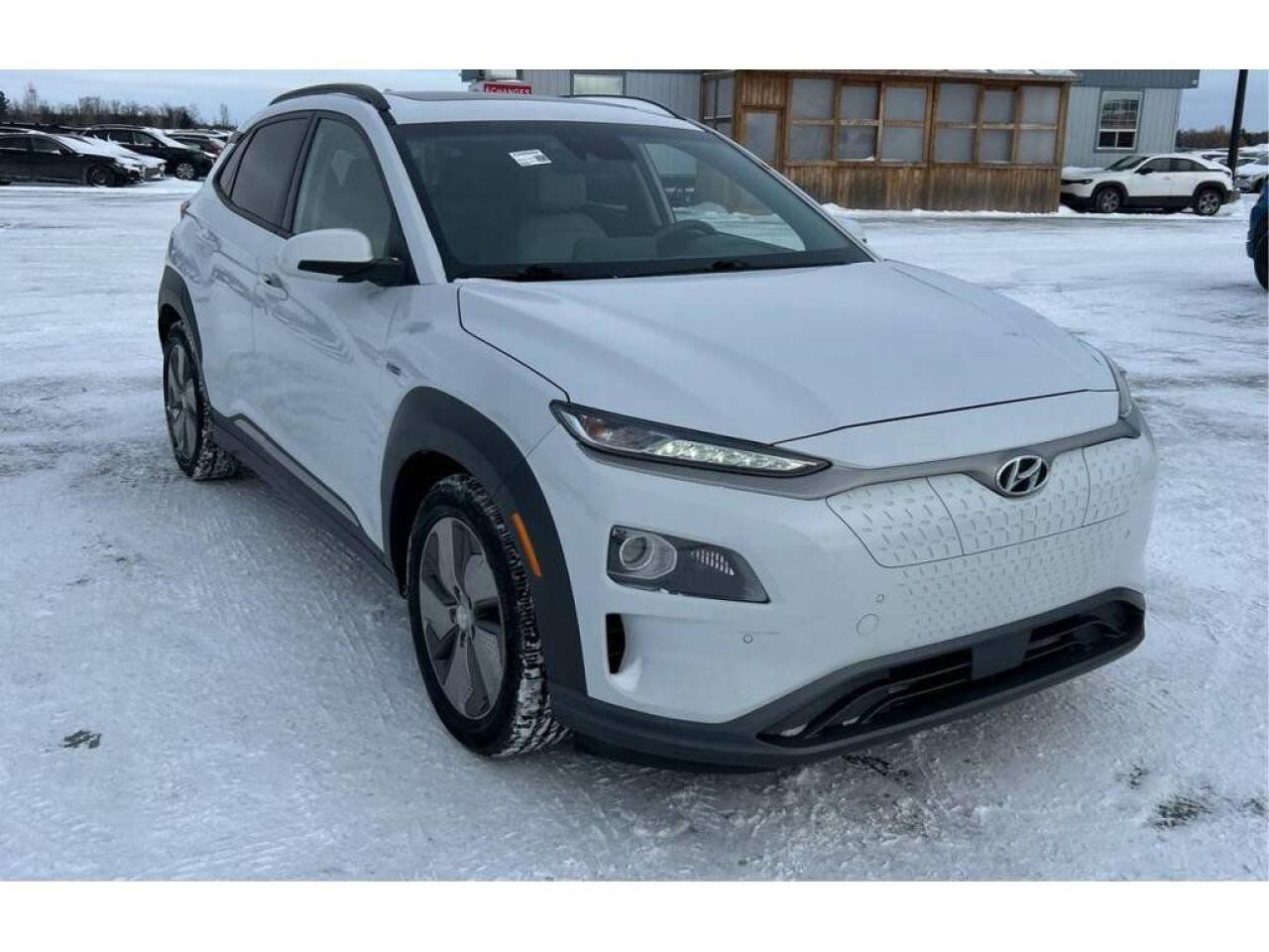 Used 2019 Hyundai KONA Electric Ultimate-Navigation System-Sunroof-Backup Camera for sale in Burlington, ON