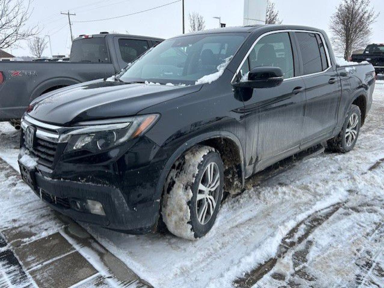 Used 2019 Honda Ridgeline EX-L Traction Intégrale for sale in Watford, ON