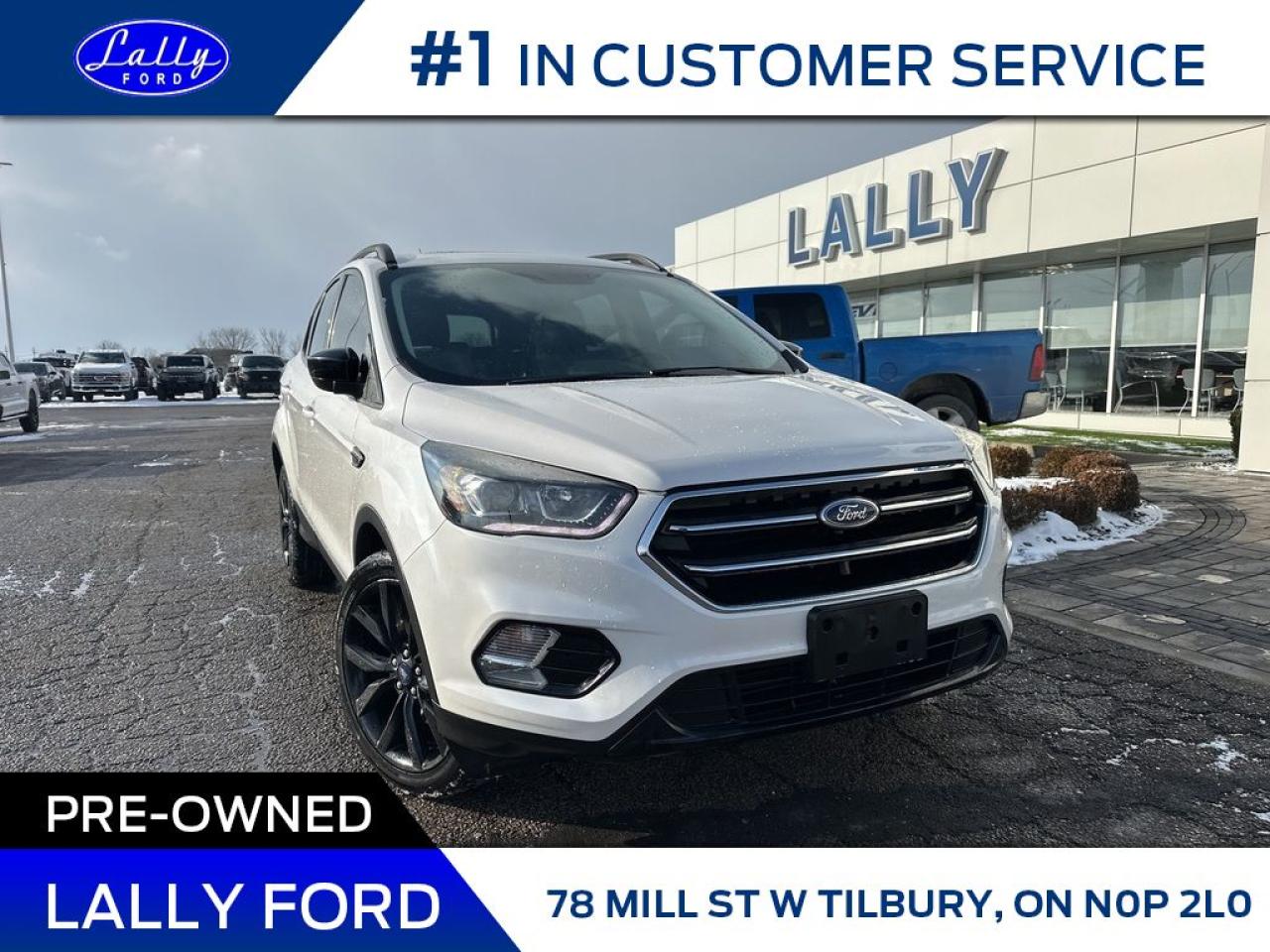 Used 2017 Ford Escape SE, Moonroof, Nav, Sport Pack! for sale in Tilbury, ON