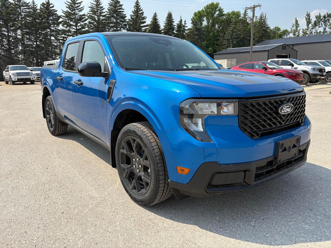 2025 Ford Maverick XLT AWD SuperCrew Photo3