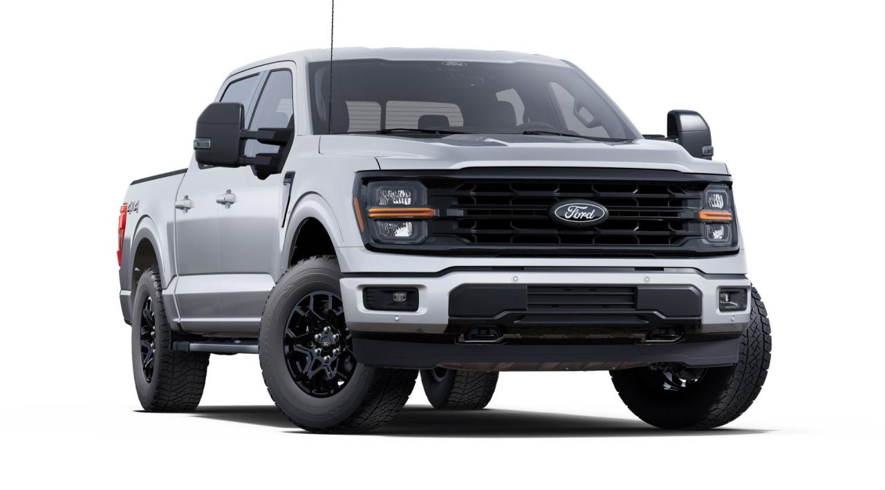 2025 Ford F-150 XLT Photo3