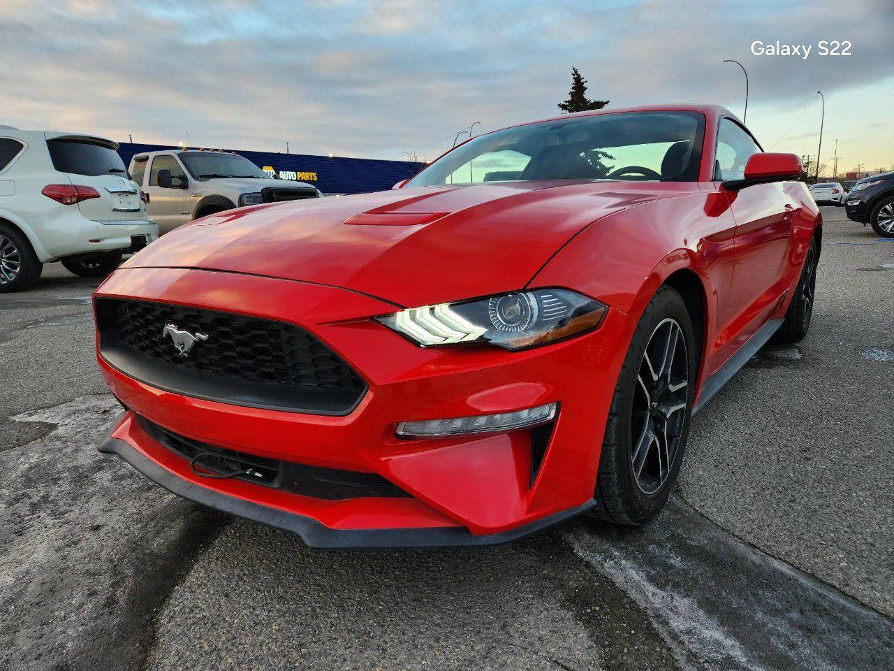 Used 2019 Ford Mustang EcoBoost Fastback for sale in Calgary, AB