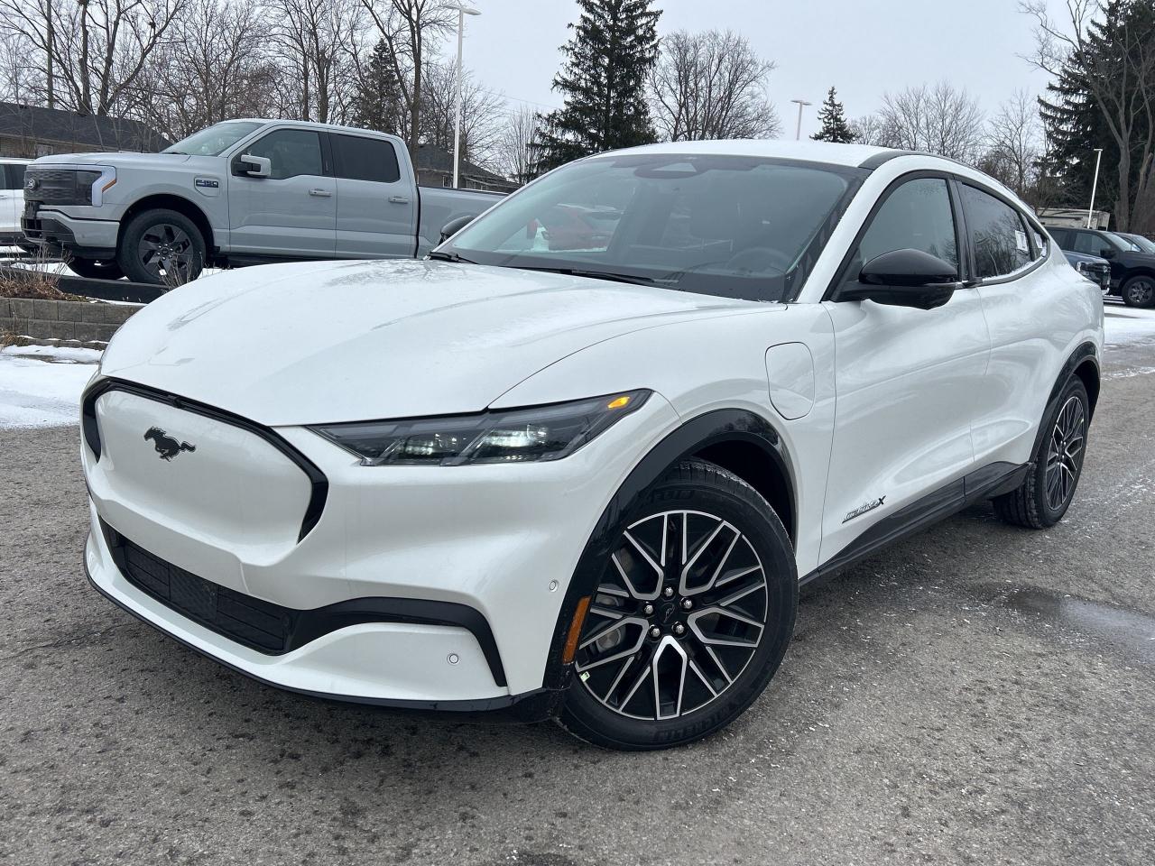 New 2024 Ford Mustang Mach-E Premium  - Sunroof -  Heated Seats for sale in Caledonia, ON