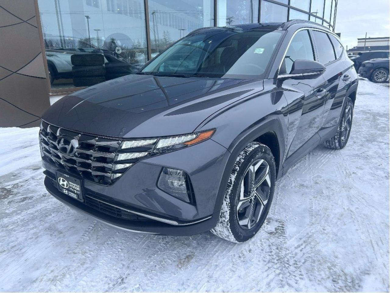 Used 2022 Hyundai Tucson Hybrid Luxury for sale in Winnipeg, MB