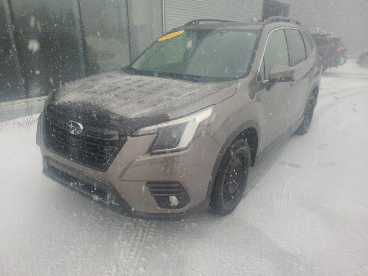 Used 2022 Subaru Forester Limited for sale in Dieppe, NB