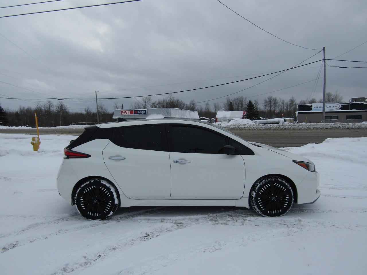 2023 Nissan Leaf SV PLUS Photo