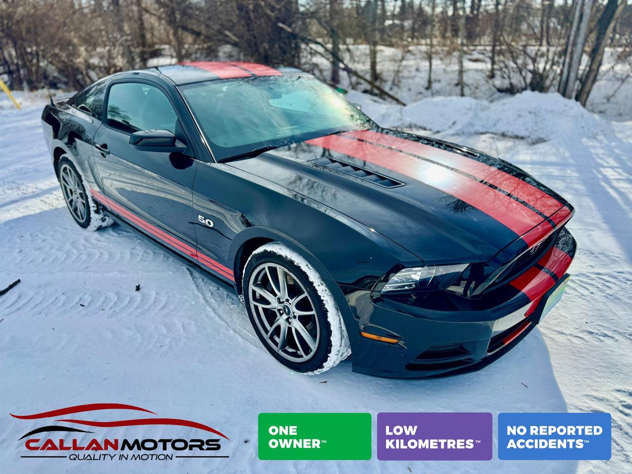 Used 2014 Ford Mustang GT COUPE Premium 2DR One Owner | Clean Carfax for sale in Perth, ON