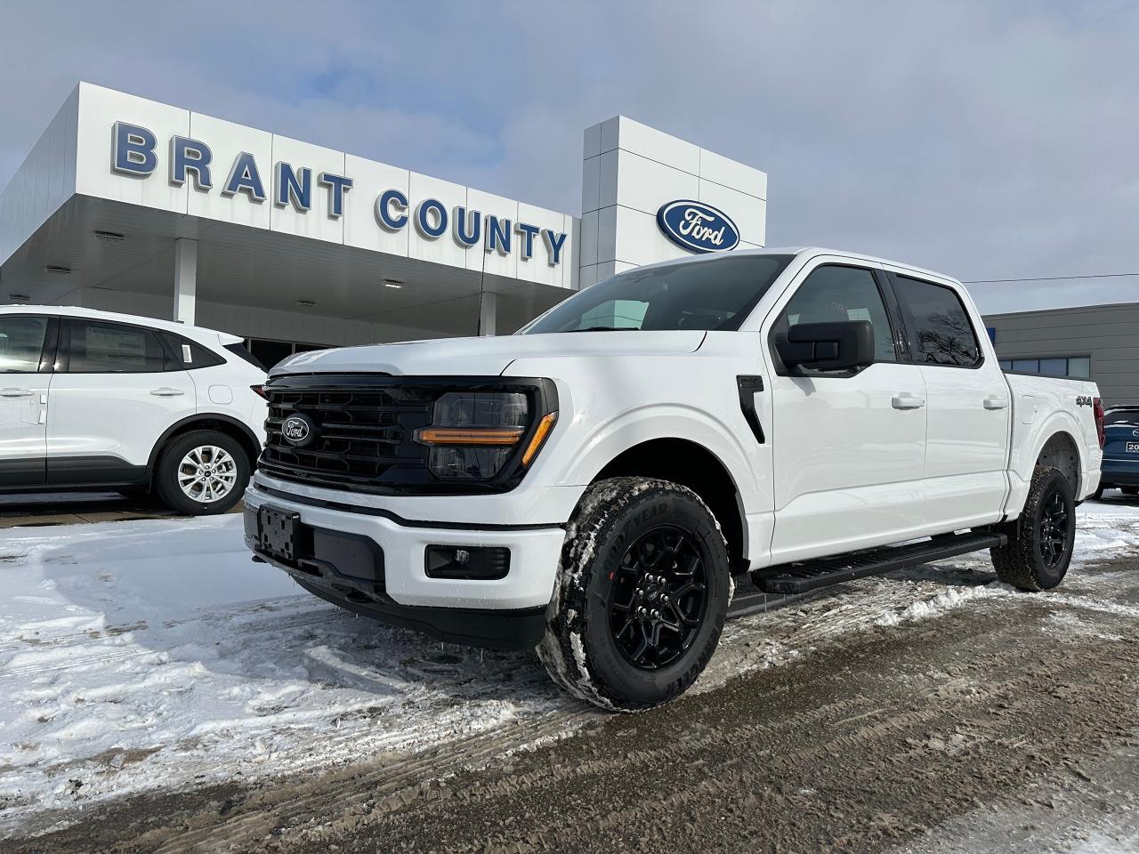 New 2024 Ford F-150 XLT | 301A | BLACK APPEARANCE | 3.5L ECOBOOST | for sale in Brantford, ON