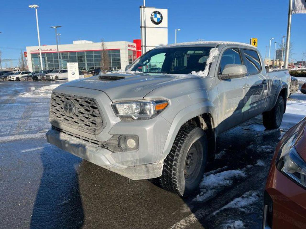 Used 2020 Toyota Tacoma TRD Sport Premium | Cement Grey | Leather | Sunroof | Nav | Heated Seats | Rear Camera | and more! for sale in Guelph, ON