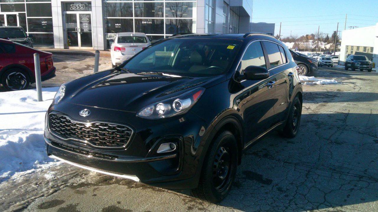 Used 2022 Kia Sportage EX S AWD for sale in Gloucester, ON