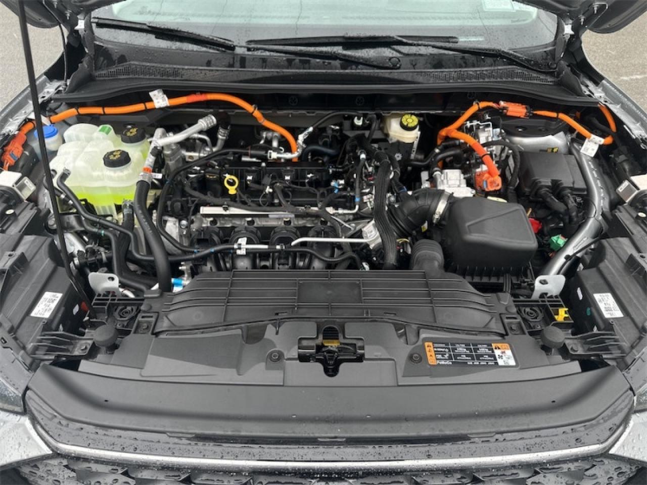 2024 Ford Escape PHEV  - Leather Seats -  Heated Seats Photo5