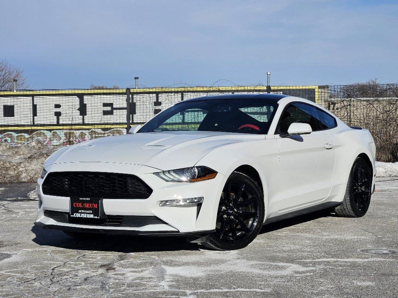 Used 2020 Ford Mustang EcoBoost Fastback **ONLY 50,000KM-1 OWNER-FINANCE* for sale in Toronto, ON