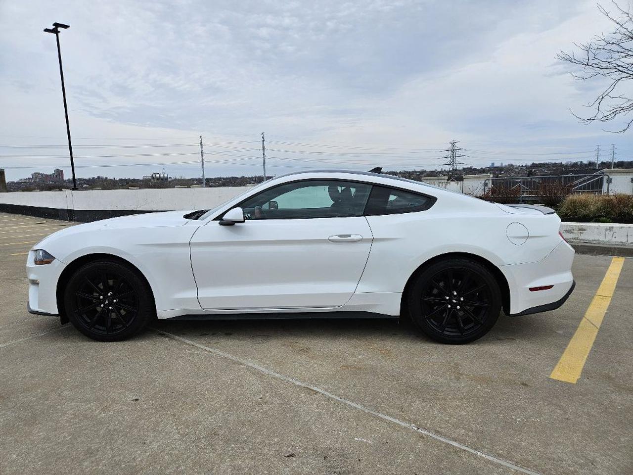 2020 Ford Mustang ECOBOOST FASTBACK-AUTOMATIC-NAVIGATION Photo