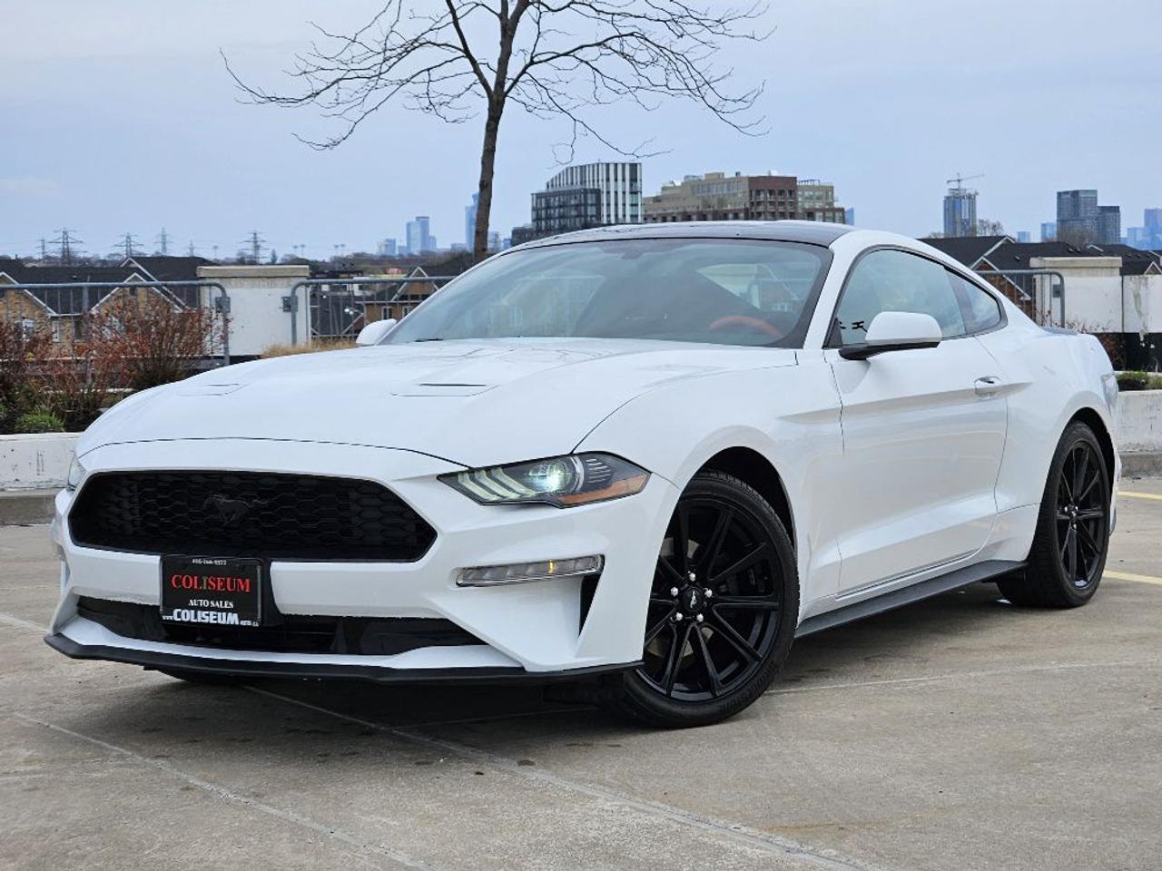 2020 Ford Mustang ECOBOOST FASTBACK-AUTOMATIC-NAVIGATION Photo0