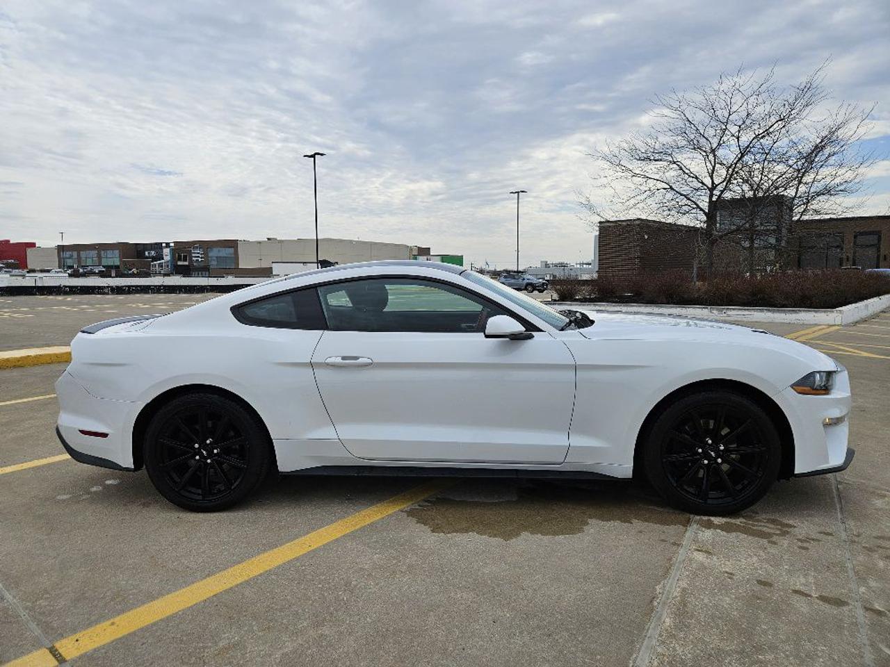 2020 Ford Mustang ECOBOOST FASTBACK-AUTOMATIC-NAVIGATION Photo
