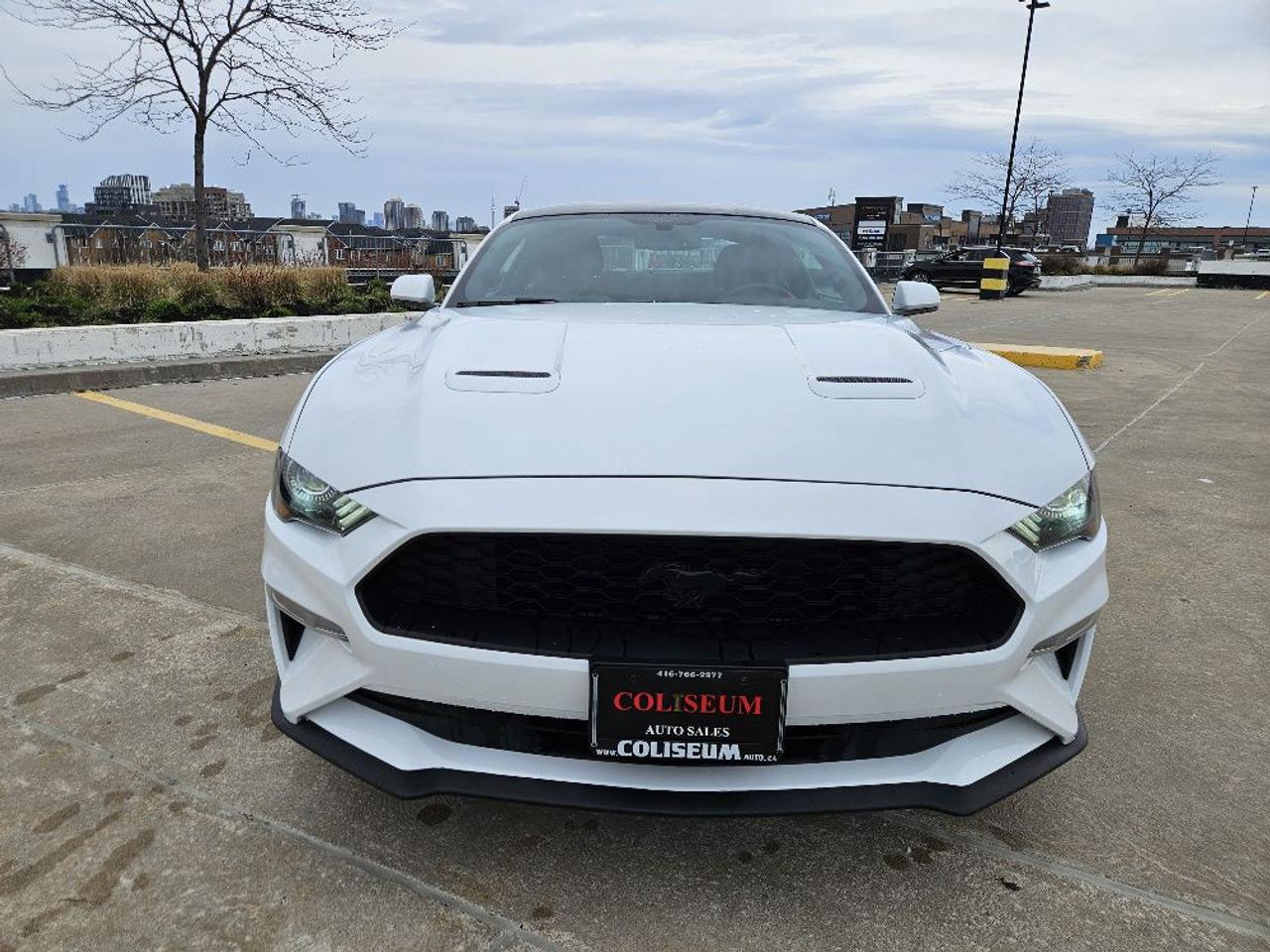2020 Ford Mustang ECOBOOST FASTBACK-AUTOMATIC-NAVIGATION Photo