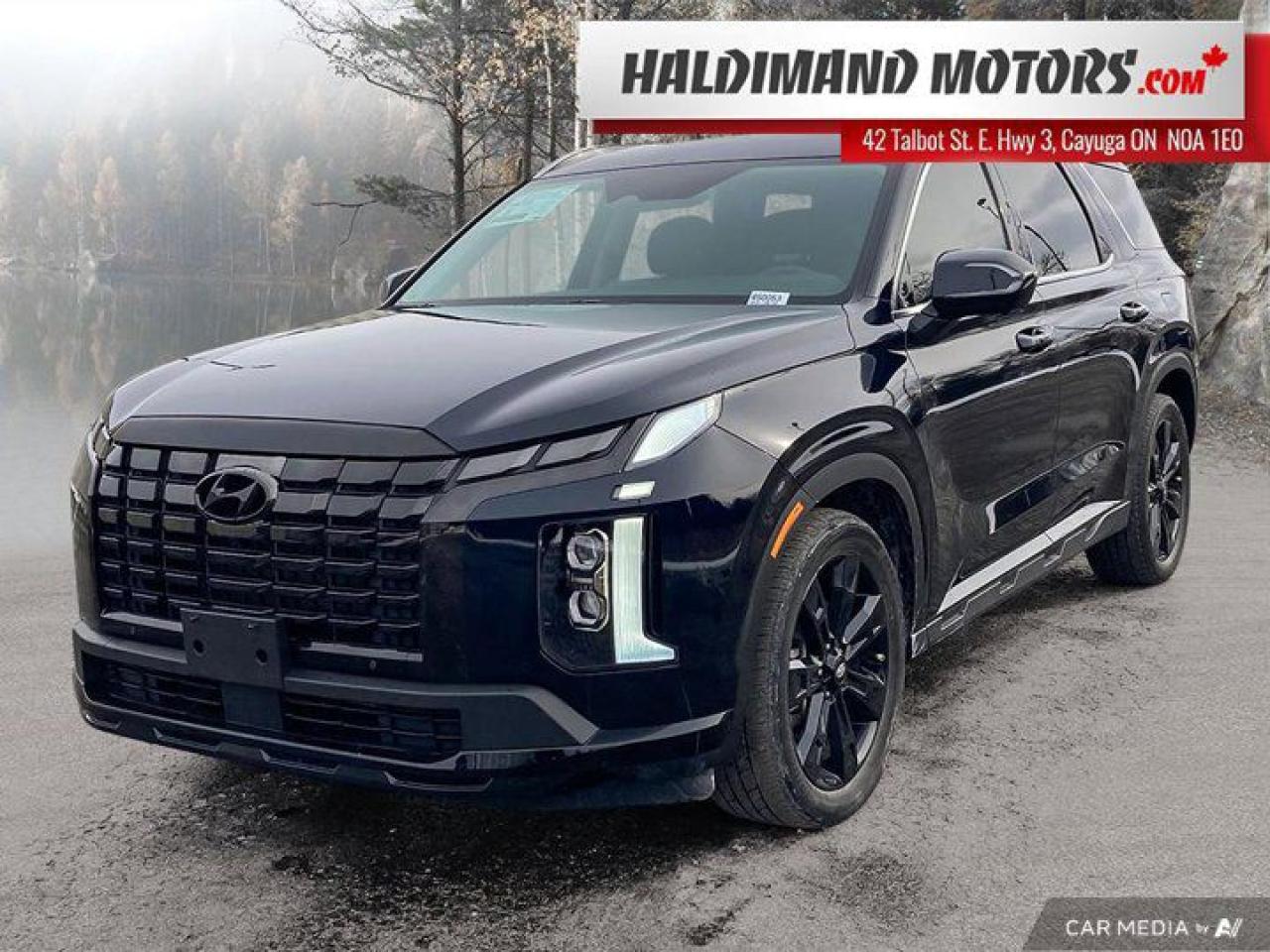 Used 2024 Hyundai PALISADE URBAN for sale in Cayuga, ON