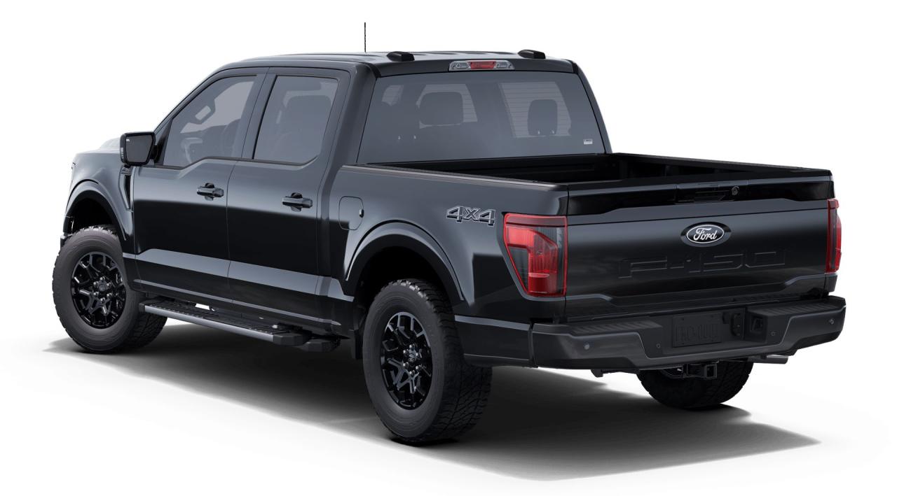 2025 Ford F-150 XLT Photo5