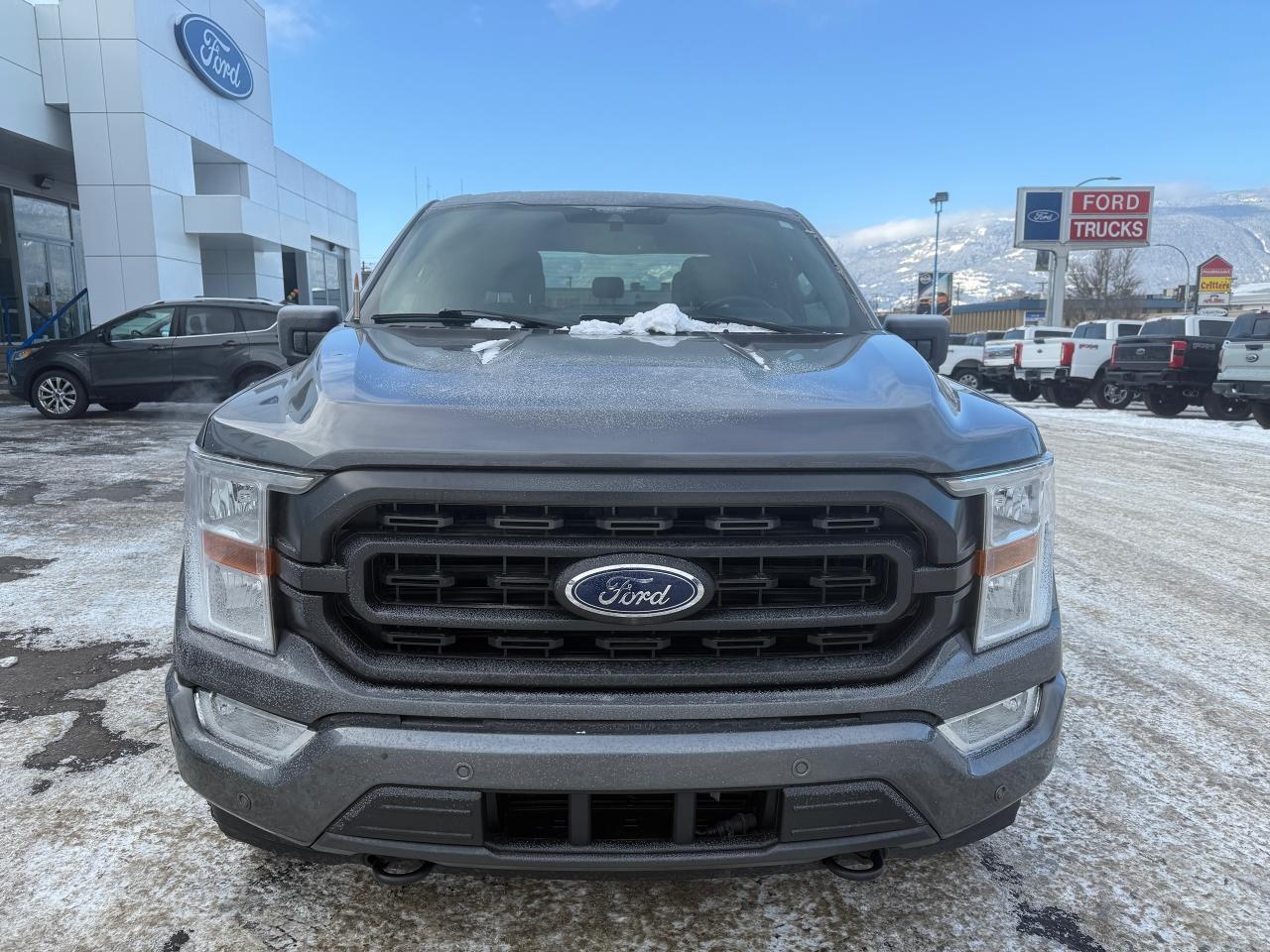 2021 Ford F-150 XLT Photo5