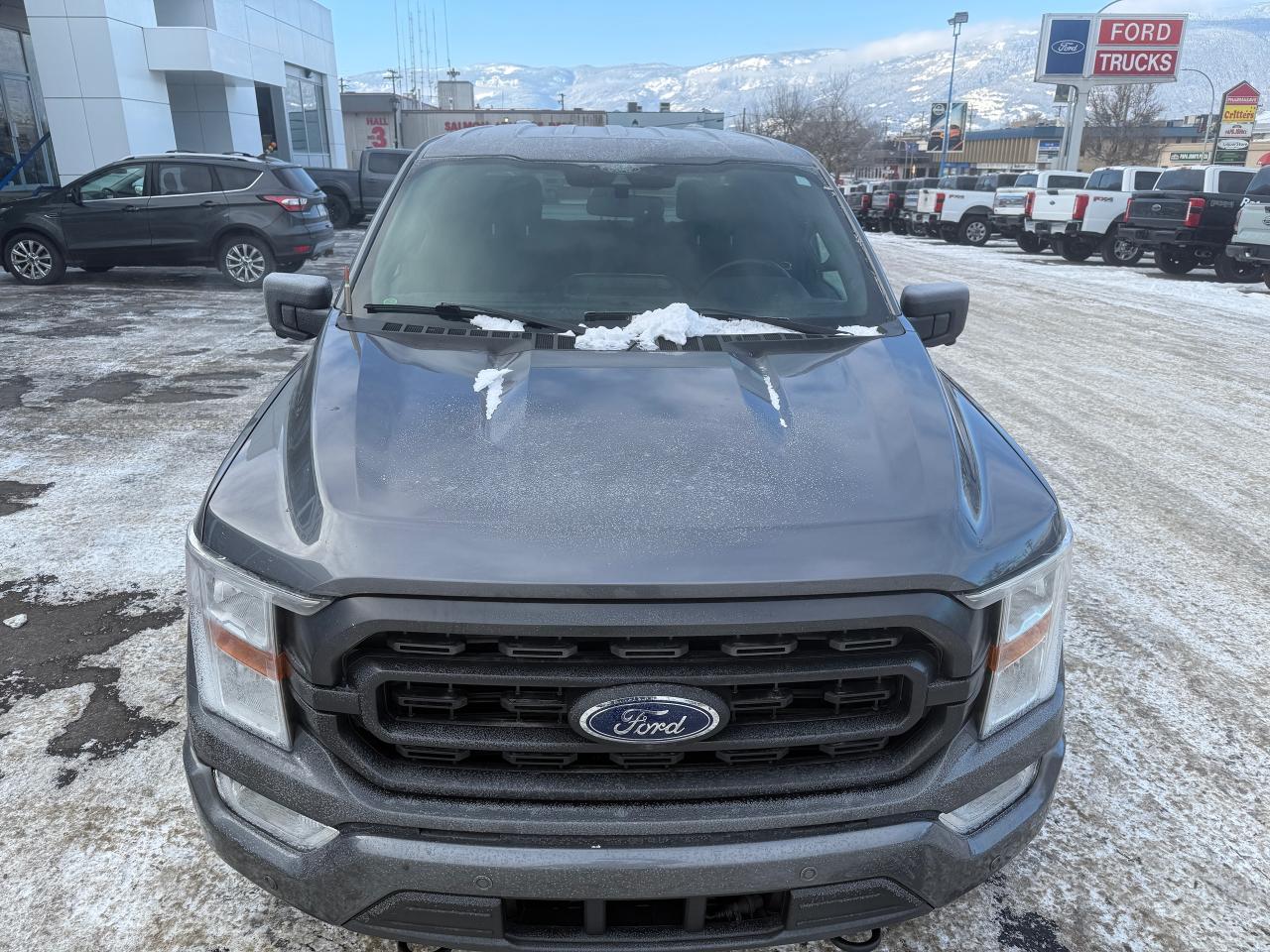 2021 Ford F-150 XLT Photo5