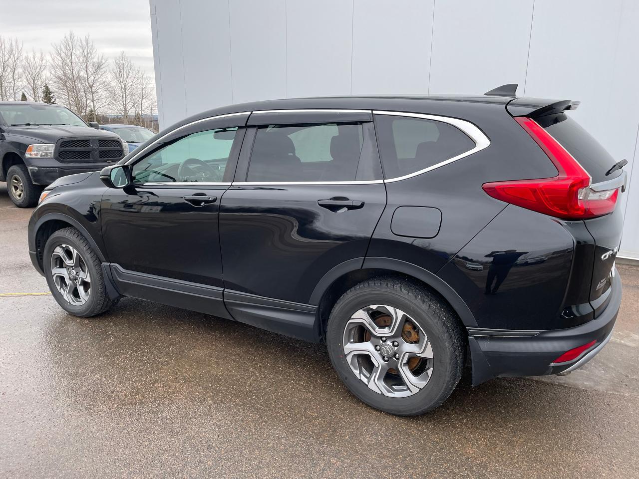 2019 Honda CR-V EX-L AWD Photo