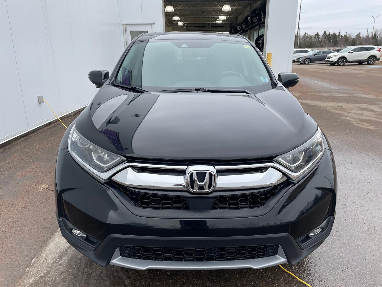 2019 Honda CR-V EX-L AWD Photo