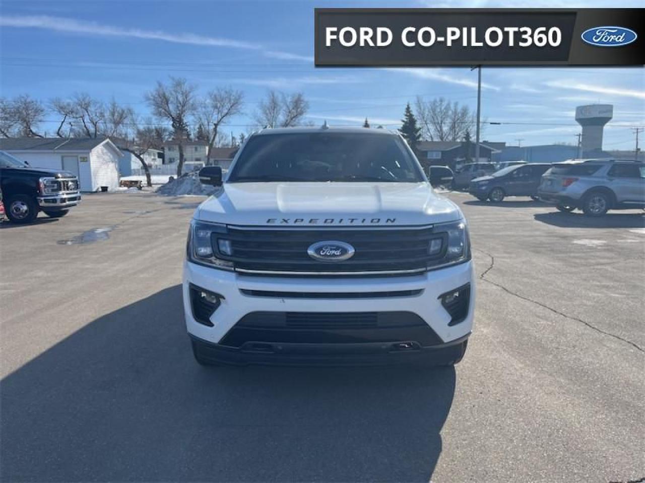 2021 Ford Expedition LIMITED STEALTH  - Leather Seats Photo
