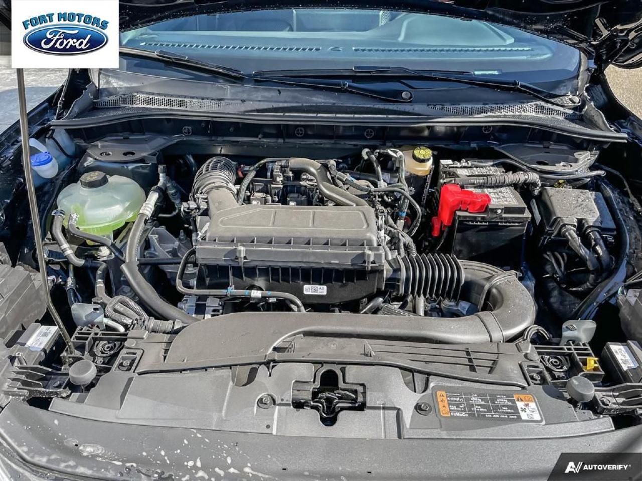 2025 Ford Escape ST-Line Photo5