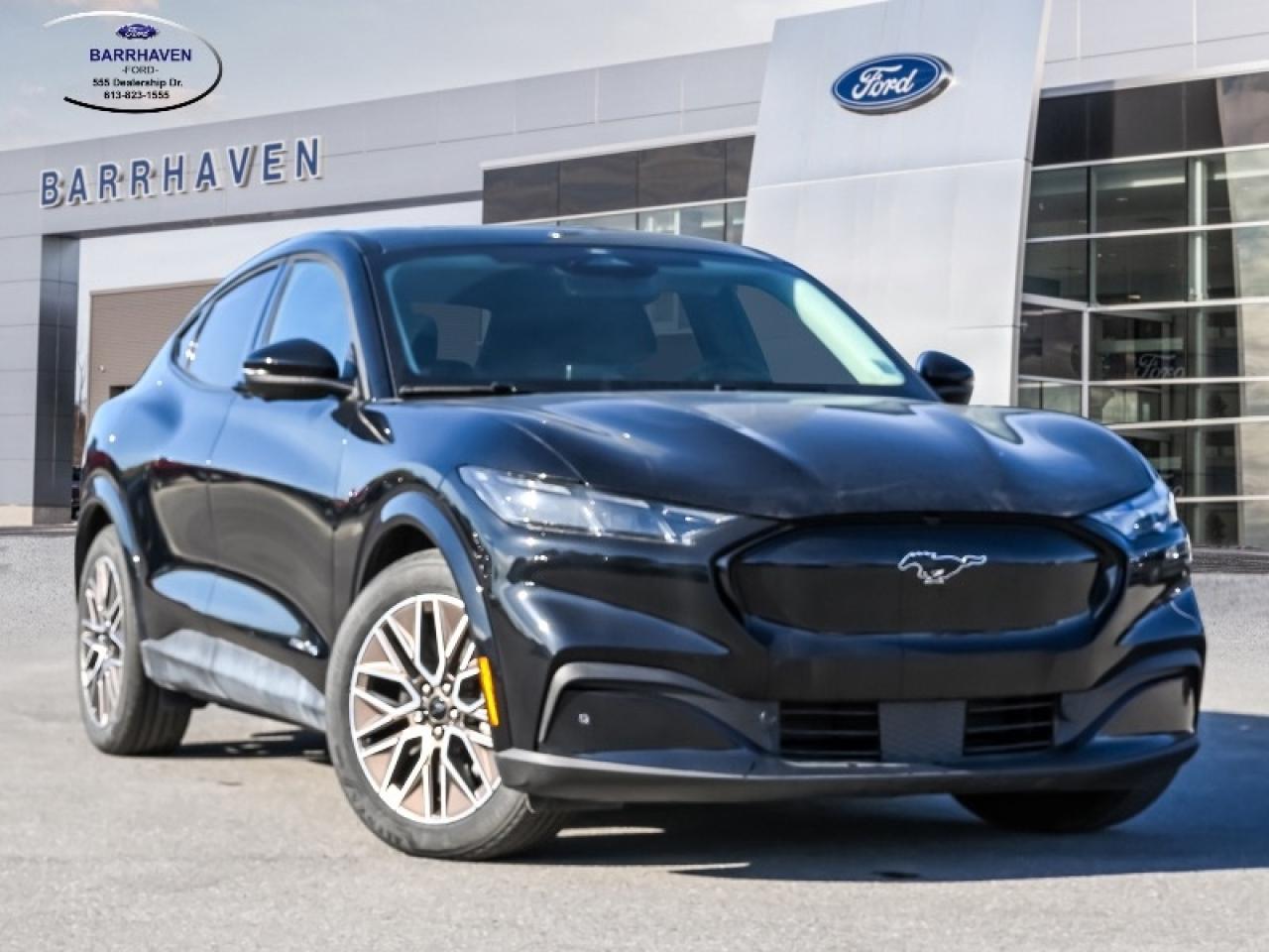 2025 Ford Mustang Mach-E Premium Photo0
