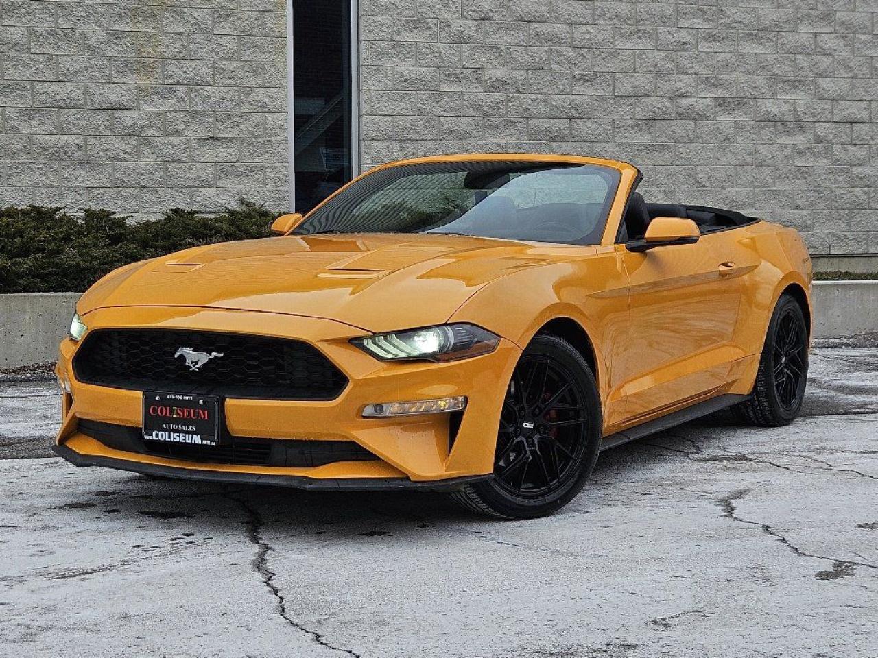 Used 2018 Ford Mustang Premium Convertible-LEATHER-NAV-CAM-NEW TIRE-BRAKE for sale in Toronto, ON