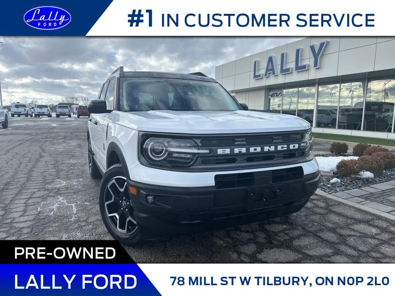 Used 2022 Ford Bronco Sport Big Bend, Moonroof, Nav, AWD!! for sale in Tilbury, ON